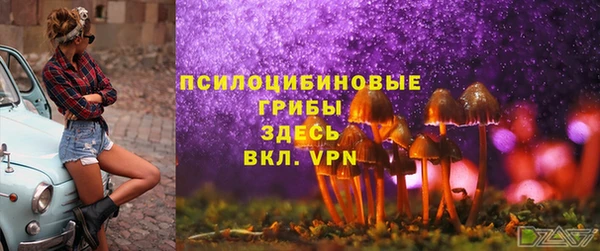 мяу мяу мука Алзамай
