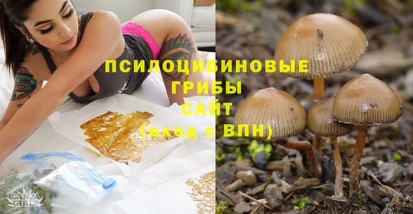 мяу мяу мука Алзамай