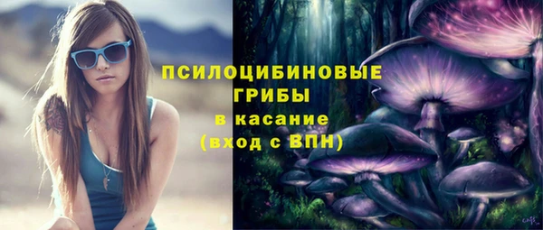 мяу мяу мука Алзамай